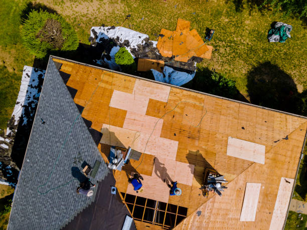 Best Roof Gutter Cleaning  in Hinckley, MN